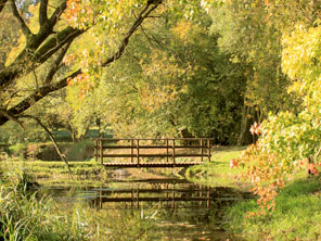 The Autumn Test Bridge