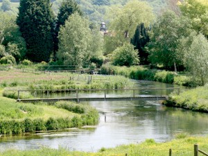 May at River Test Stockbridge